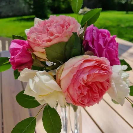 Bed & Breakfast L'esprit Du 24 Rouffignac-de-Sigoules