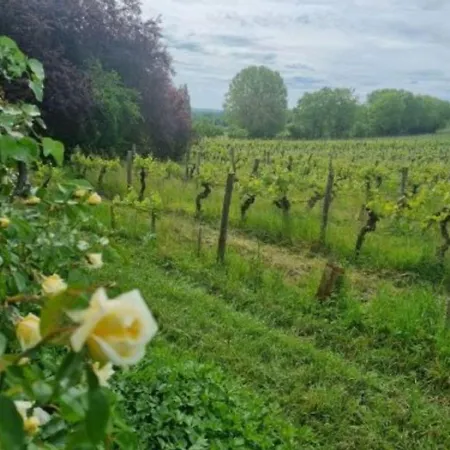 L'esprit Du 24 Alojamento de Acomodação e Pequeno-almoço