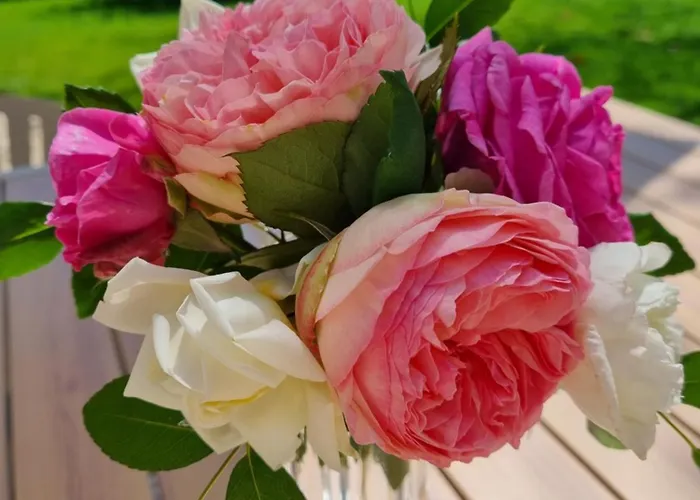 Couette-café L'esprit Du 24 Rouffignac-de-Sigoules