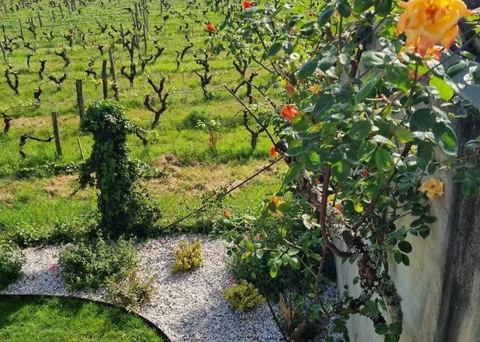 L'esprit Du 24 Bed & Breakfast