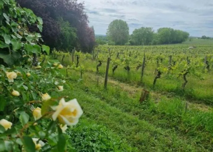 L'esprit Du 24 Bed & Breakfast